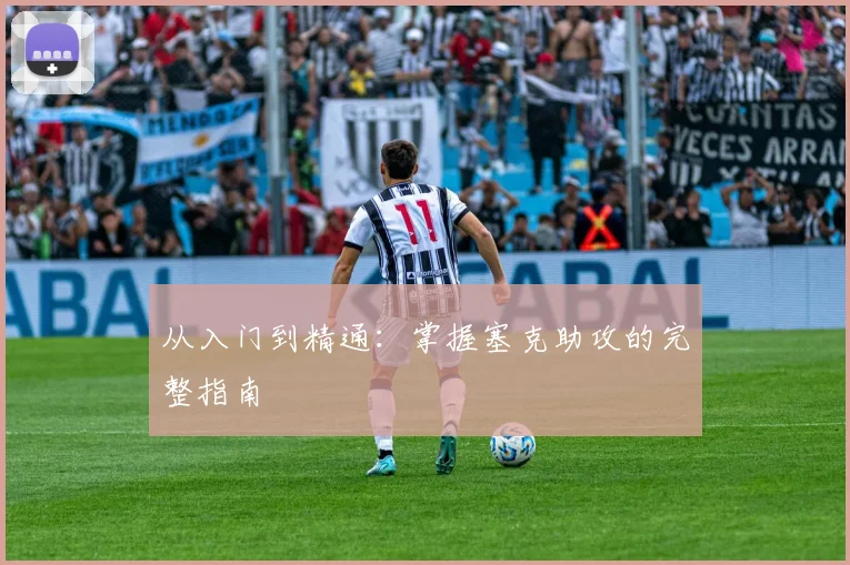 从入门到精通：掌握塞克助攻的完整指南