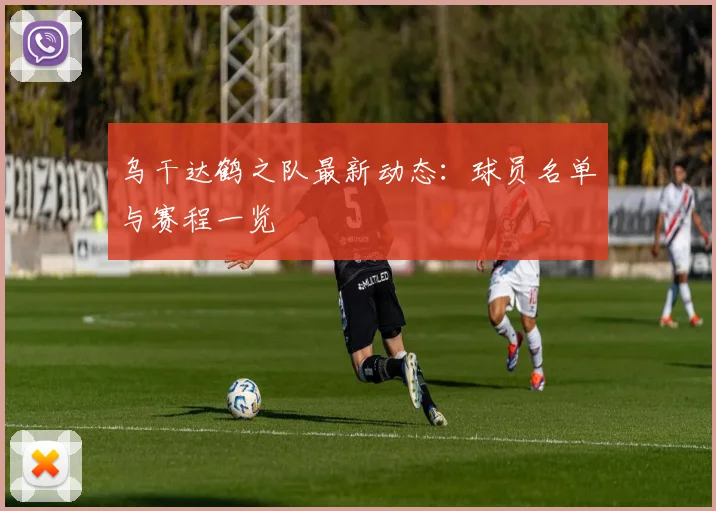 乌干达鹤之队最新动态:球员名单与赛程一览