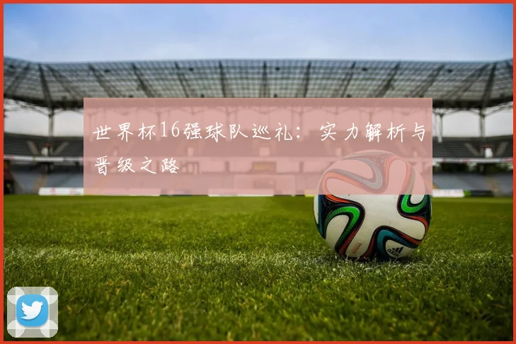 世界杯16强球队巡礼：实力解析与晋级之路