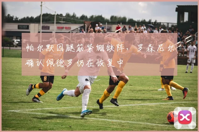 帕尔默因腿筋紧绷缺阵，罗森尼尔确认佩德罗仍在恢复中