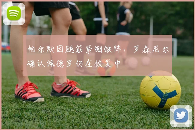 帕尔默因腿筋紧绷缺阵，罗森尼尔确认佩德罗仍在恢复中