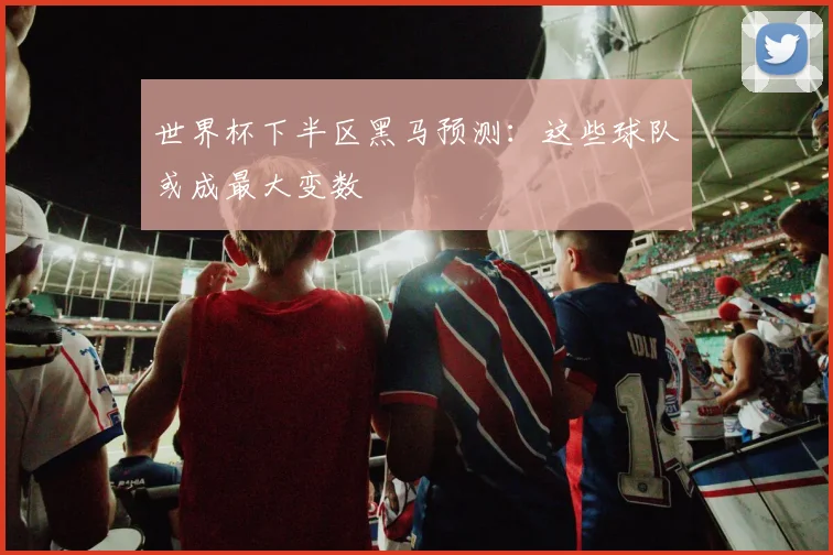 世界杯下半区黑马预测：这些球队或成最大变数